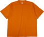 AP1000 Orange